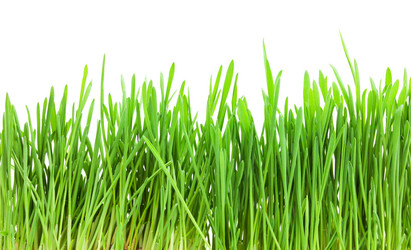 Similar image 5639726