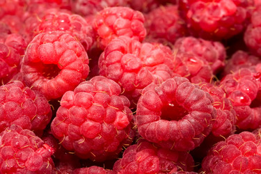 Similar image 5639779