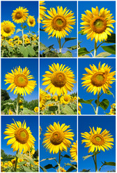 Similar image 5639782