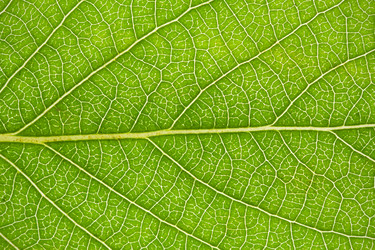 Similar image 5639807