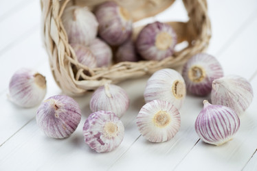 Similar image 5640059