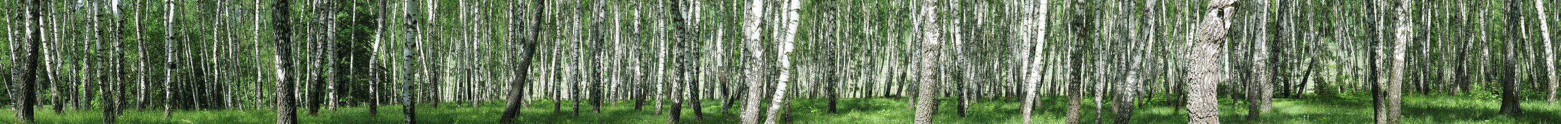 Similar image 5640234