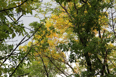 Similar image 5640531