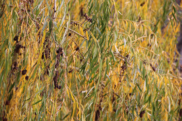 Similar image 5640535