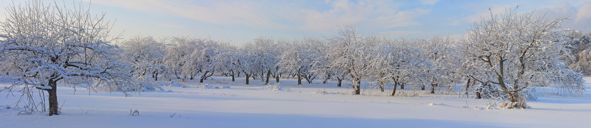 Similar image 5640536