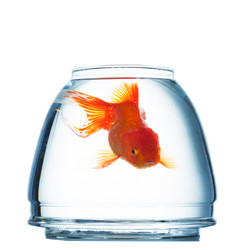 Similar image 5640723