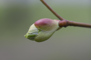 Similar image 5641114