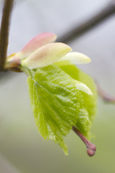 Similar image 5641116