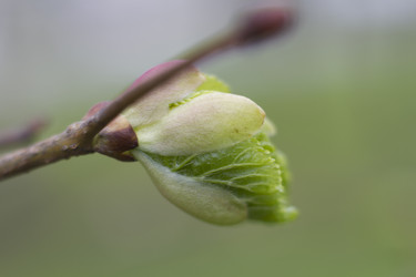 Similar image 5641119