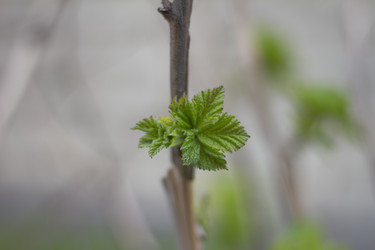 Similar image 5641121