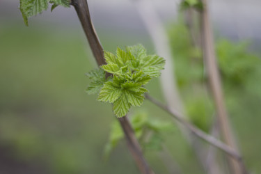 Similar image 5641124