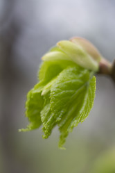 Similar image 5641131