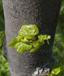 Similar image 5641139