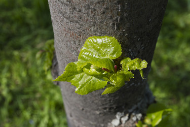 Similar image 5641142