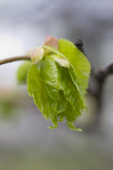 Similar image 5641148