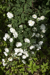 Similar image 5641150