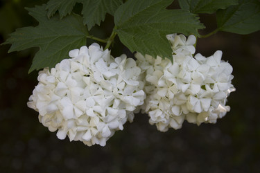 Similar image 5641153