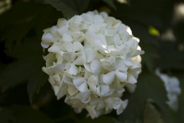 Similar image 5641155