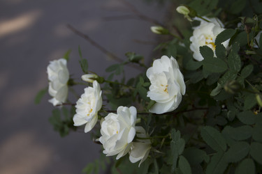 Similar image 5641160