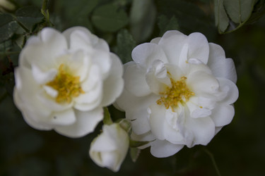 Similar image 5641162