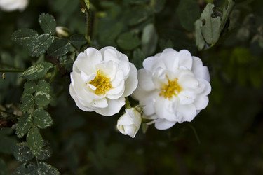 Similar image 5641163