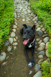 Similar image 5641179