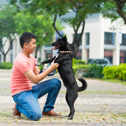 Similar image 5641182