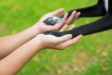 Similar image 5641185