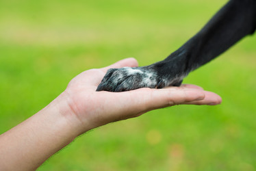 Similar image 5641186