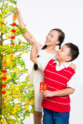 Similar image 5641438