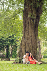 Similar image 5641534