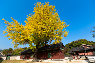 Similar image 5682060