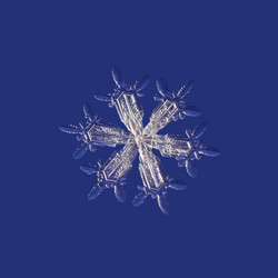 Similar image 5692585