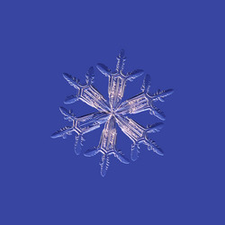 Similar image 5692592