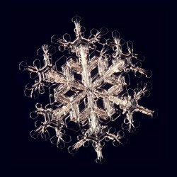 Similar image 5692600