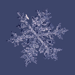 Similar image 5693107