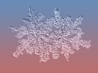 Similar image 5693225