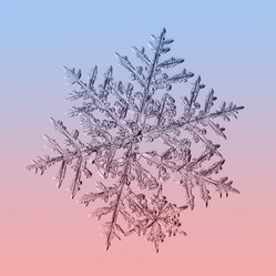 Similar image 5693234