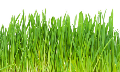 Similar image 5697130