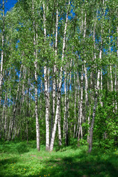 Similar image 5697153