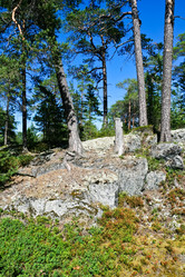 Similar image 5697246