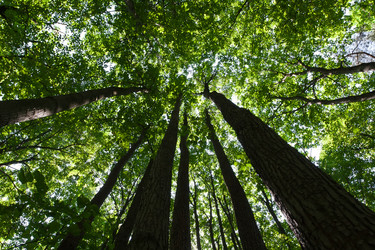 Similar image 5701650