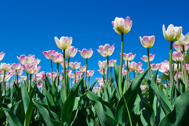 Similar image 5701661