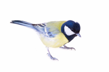 Similar image 5744668