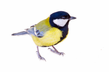 Similar image 5744679