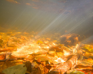 Similar image 5744689