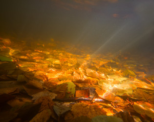 Similar image 5744690