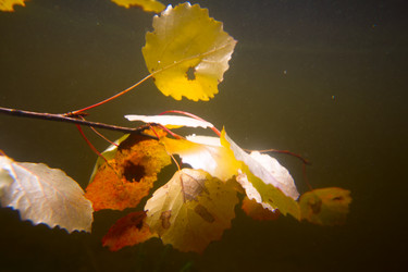 Similar image 5744696