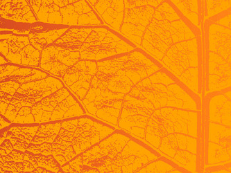 Similar image 5744811