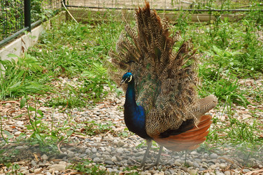 Similar image 5745177